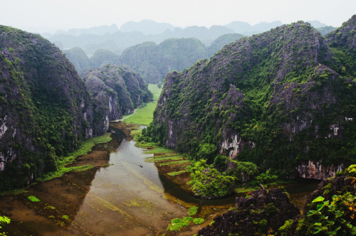 ata-raxie:  Tam Cốc - Ngô Đồng River, Vietnam (by Shawn Parker)
