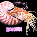 marinebiologyshitposts:marinebiologyshitposts:holy shit i just checked and you’ll never believe this but every fish is transgenderplease don’t make up scary words on my blog. thanks you