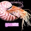 marinebiologyshitposts:marinebiologyshitposts:holy shit i just checked and you’ll never believe this but every fish is transgenderplease don’t make up scary words on my blog. thanks you