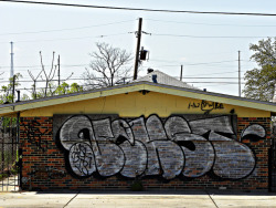 graffologist:  //Nekst