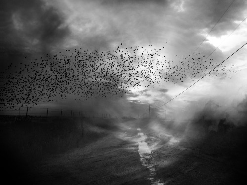 Home by nightfallAngela Bacon-Kidwell