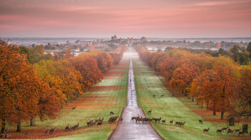 thequeensenglish:Windsor Castle just before sunrise -  Windsor, Berkshire, England. ‘The iconic view