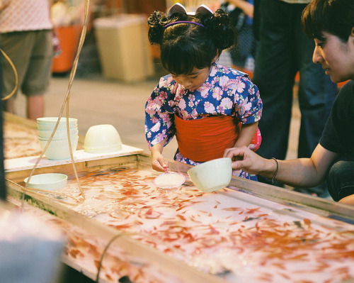 Scooping goldfish by Yuki Ishikawa Photography on Flickr.