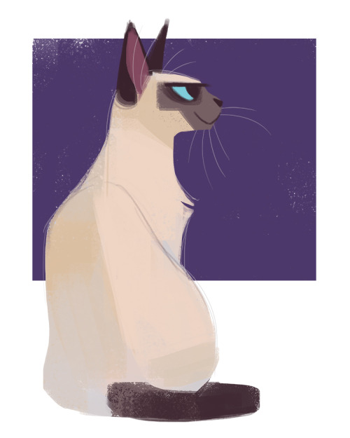 dailycatdrawings: 533: Siamese Cat