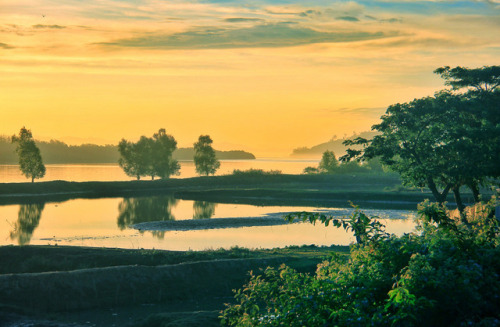 soon-monsoon: Teknaf, Chittagong Division, Bangladesh by Ifran Kamal