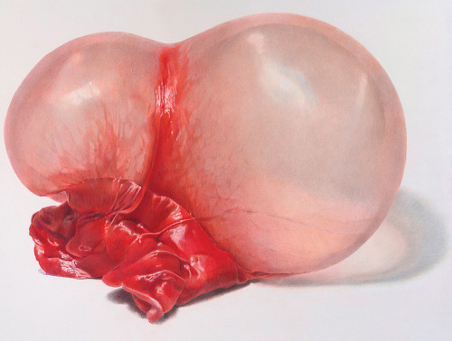 likeafieldmouse:  Julia Randall - Blown (2011-12) - Color pencil on paper Artist’s statement:  “Bubblegum initially connotes innocent, cheeky pleasure, yet the fragile skin of gum also points to the susceptibility of the body, and the dreaded passage