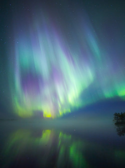 tiinatormanenphotography:  Aurora archives. Finland 2013-2015. by Tiina Törmänen | web | FB | IG |    That&rsquo;s amazing