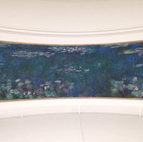 risfiorire: Water Lilies, Monet Musée de l'Orangerie, Paris