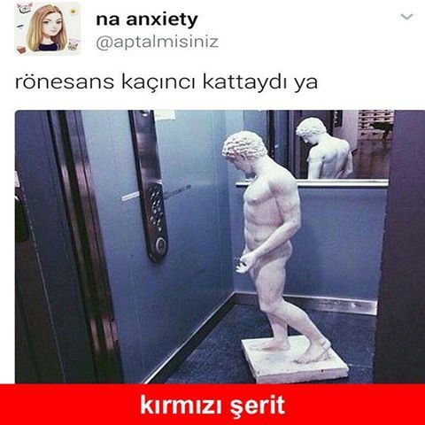 Rönesans kaçıncı kattaydı ya