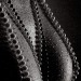 futuristicgentlemenengineer:sandrafontanari:⚜️