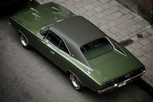 wellisnthatnice:  untitled by MoStuff Sthlm on Flickr. 
