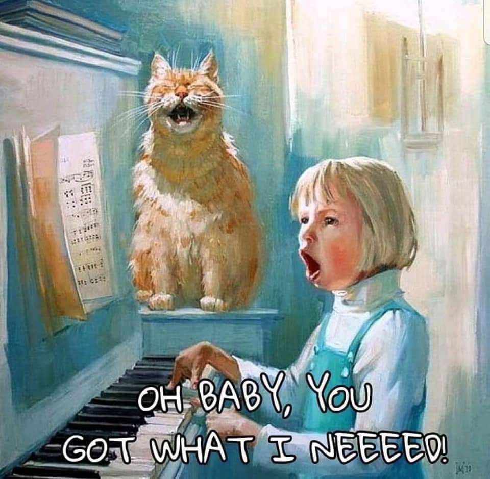 Vintage Memes  Explore Tumblr Posts and Blogs  Tumgir