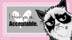 The Official Grumpy Cat's Tumblr