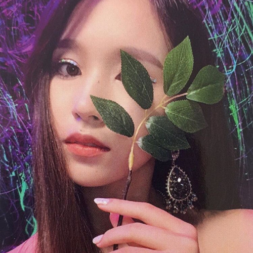 Mina Icons !!