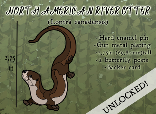 Making Tracks - a new hard enamel pin series depicting North American mammals - is live!33 different