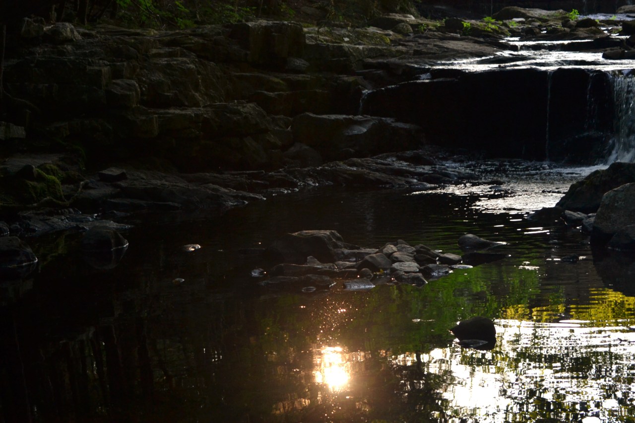 Tumblr Photo