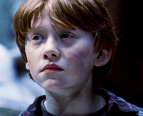 ronweasleygifs:HARRY POTTER AND THE PHILOSOPHER’S STONE