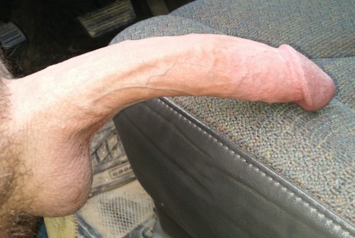 davesthickmarket:  cuthighandtightgrower:  CUTHIGHANDTIGHTGRO-FOLLOW–OVER 150000 POSTS OF–CUT DICKS–GOOD LOOKS-MUSCLES   MASTERPIECE 