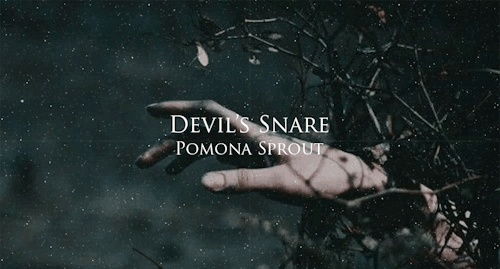 madeyemoodboards:There is no good and evil, there is only power and those too weak to seek it.