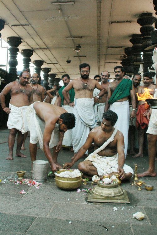 Ritual at Guruvayur Krishna temple, Kerala