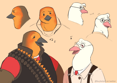 I became possessed and drew all of these in like uuhh 3 days cause i just needed to draw some bird m