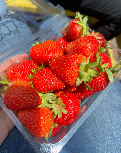 Fresh Fruit Inspo