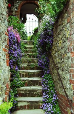 bonitavista:  West Sussex, Englandphoto via katlou