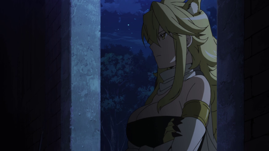 10 Things about Akame Ga Kill Leone 