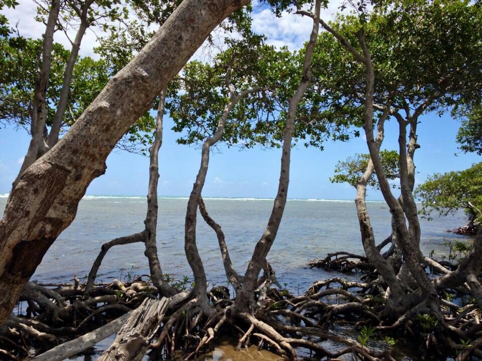 warriorescrib:  My Puerto Rico my home taken by me and My Bf