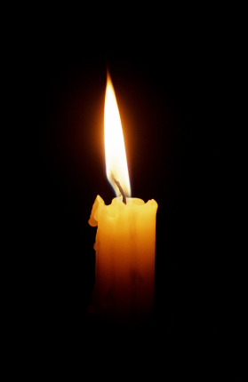themayfieldtreasury:  Tamara DominguezToday on Transgender Day of Remembrance, this