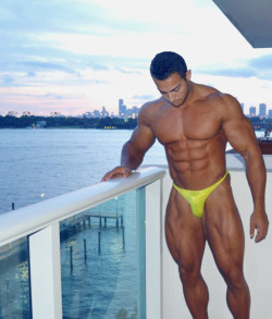 muscle-nerd:  Johan Fehd Karouani  Handsome,