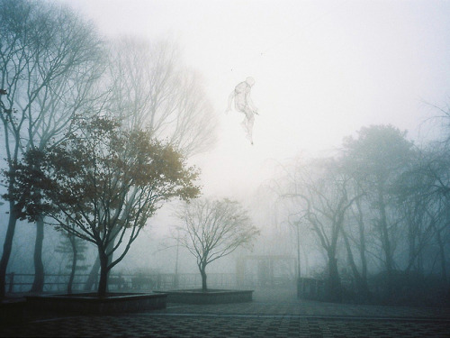 Sculpture by Cédric Le Borgne  French artist Cédric Le Borgne works to creates delicate wiresculptur