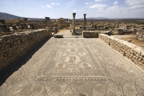 romegreeceart:Volubilis, MoroccoMosaic of the Four Seasons. House of the Labours of Hercules.Source: