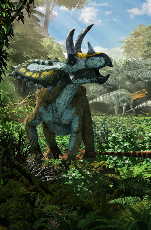 By Román García Mora:“Scene of the Late Cretaceous of Coahuila State, Mexico. Fe