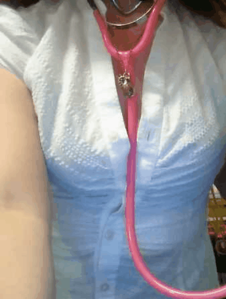 didikittenclaws: Time for your check up.  I’m ready!