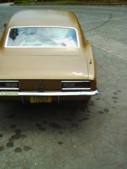 hemmingsmotornews:  Gold-on-gold 350/four-speed 1967 Chevrolet Camaro SS for sale on Hemmings.com. 