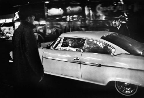 XXX paolo-streito-1264:    New York, 1965 by photo