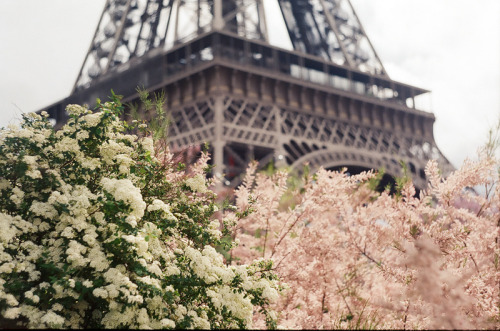 mitlas: My may in Paris (by Maria Sede)