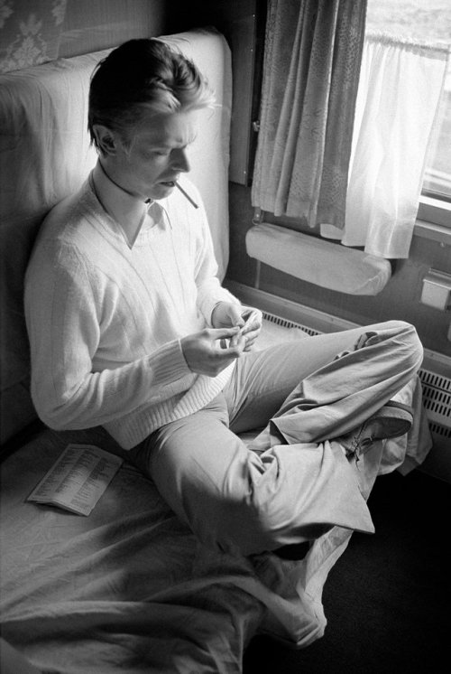 ehoradote:David Bowie