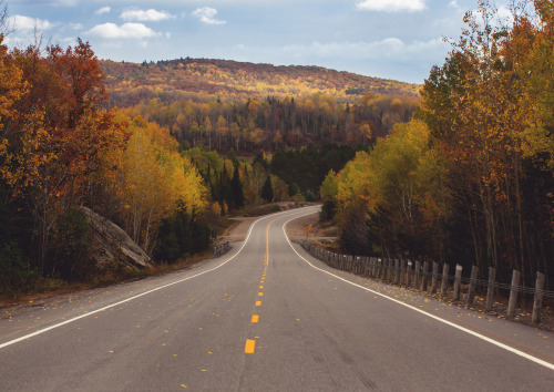 Muskoka, Ontario - October 2020https://www.instagram.com/calebestphotography