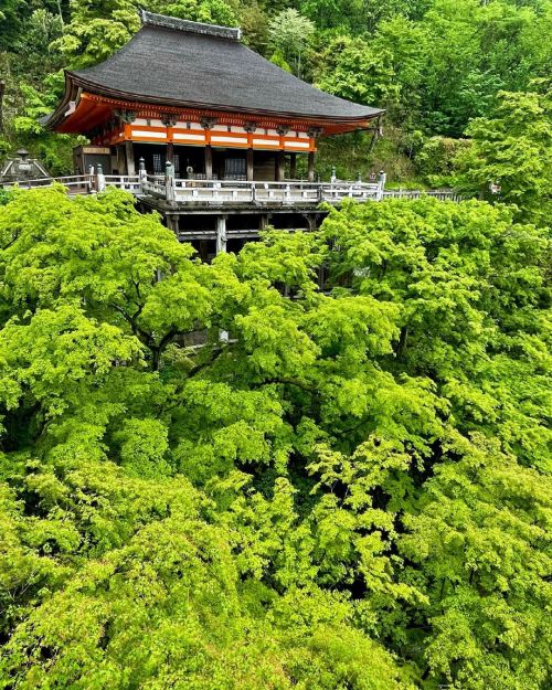 &rsquo; &rsquo; 【初夏の京都】 清水寺 新緑 &rsquo; &rsquo; 誰もいない奥の院 &rsquo; &rsquo; 2021