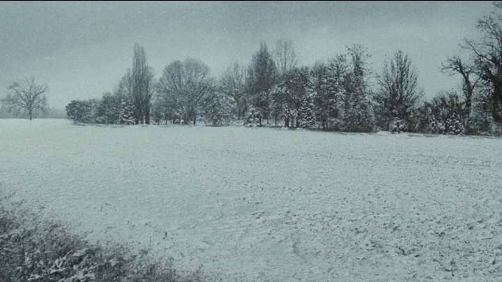 northernitaly-1983:I call this place my spot