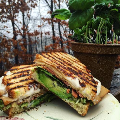 riceandraw:  Super obsessed with panini right now 😍 (Daiya provolone, tofurkey hickory smoked deli slices, vegan bacon, mixed greens, avocado) 🌱👌🏼 