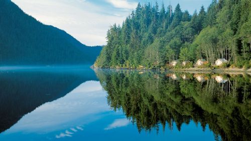 tinyhousedarling:miflyguy:thebasic:Clayoquot Wilderness Resort, Vancouver IslandA place I wo