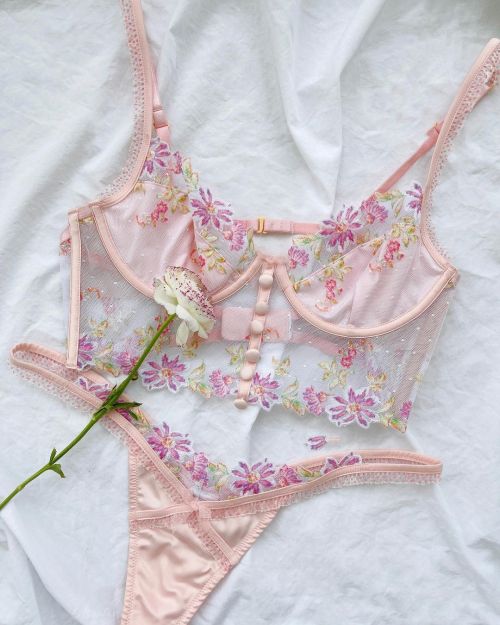 XXX velvetcloak:for love and lemons photo