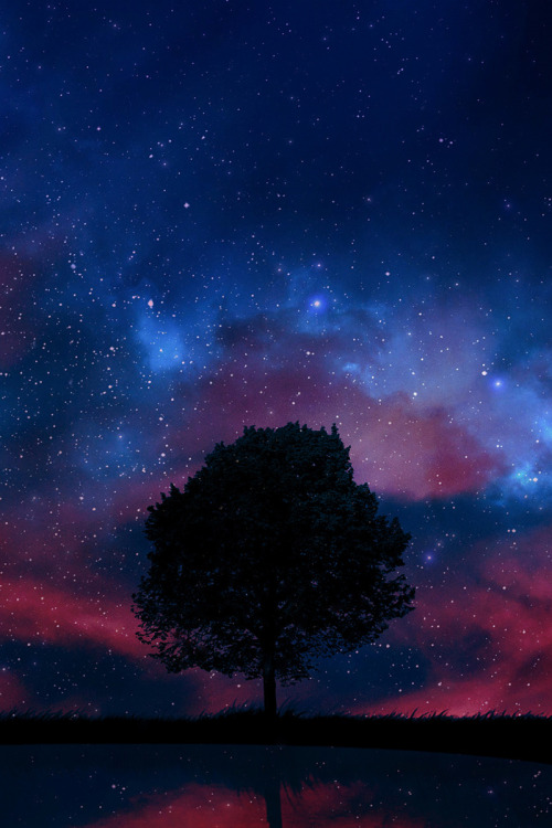 banshy:Pink Painted on Night by Vitor Santos 