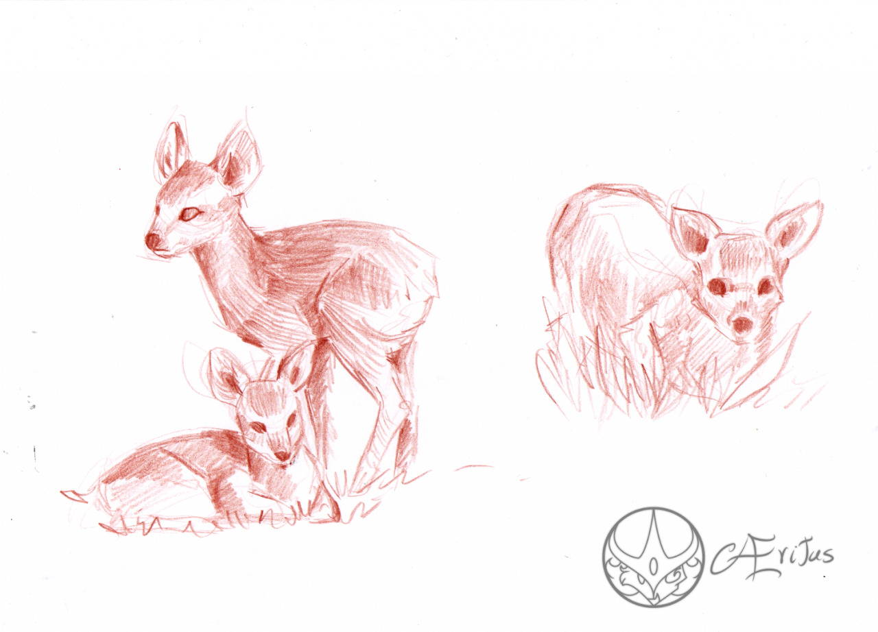 have some cutsie baby water-deer.And I’m supposed to color the  grey-toned one