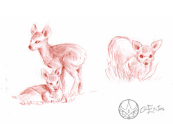 have some cutsie baby water-deer.And I’m supposed to color the  grey-toned one with acrilycs later. It’s gonna be really painful, I already know.