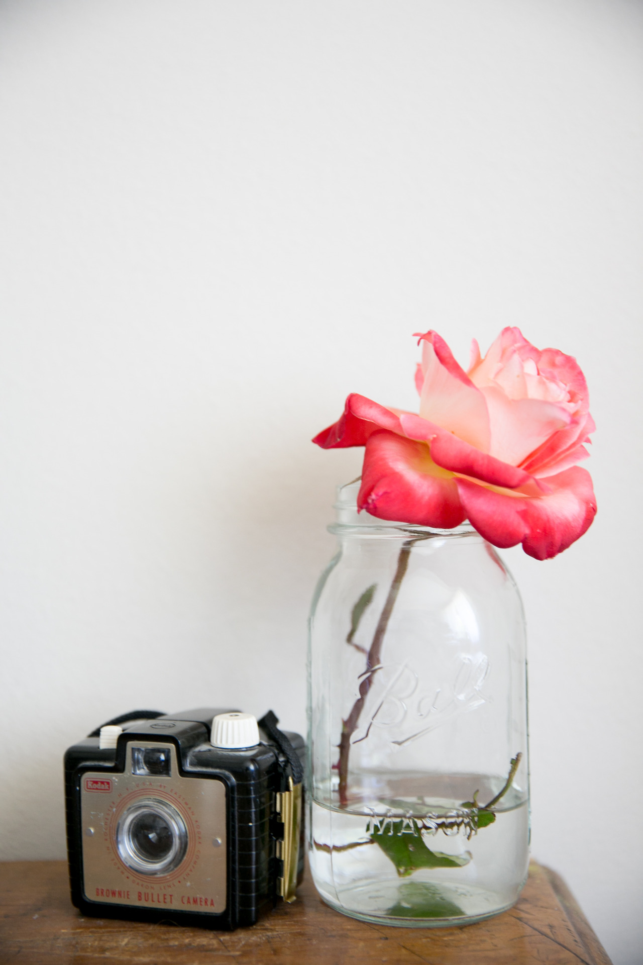 xokrista:  A flower (from William), mason jar, and a camera. Can’t get anymore