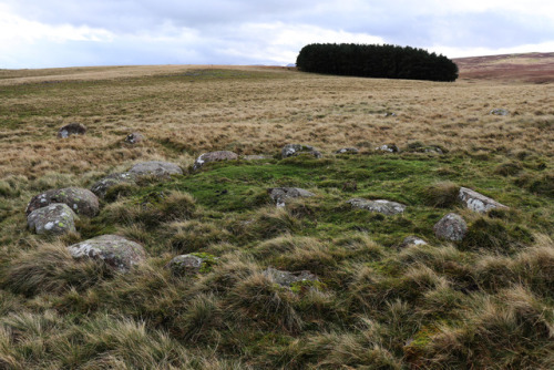 Oddendale Stone Circle, near Shap, Cumbria, Lake District, 4.11.17.This double lined stone circle si